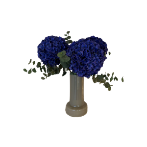 VÄXT, Hortensiamix, inkl vas