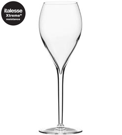 CHAMPAGNEGLAS, Italesse 15 cl