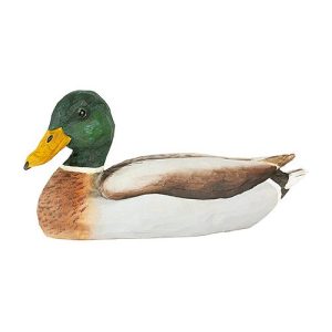 Gräsand Hane träfågel