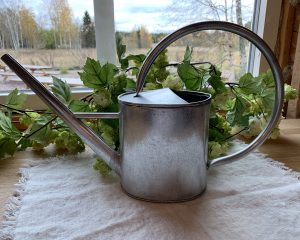 Vattenkanna Bruka Design