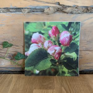 Disktrasa ”Fruktträd” Sundboden Design