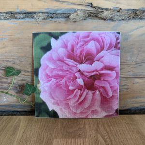 Disktrasa ”Ros” Sundboden Design