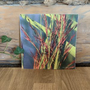 Disktrasa ”Vassrugg” Sundboden Design