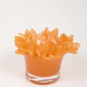 Loa ljuskopp persika