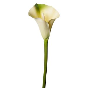 VÄXT, Callakvist i plast, höjd 80cm