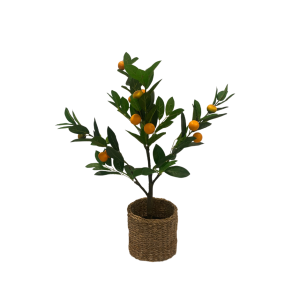 VÄXT, Citrusträd i plast inkl kruka, 70cm