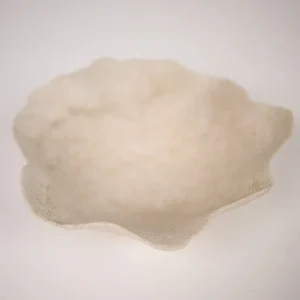 Claire fat sand mellan