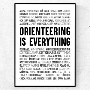 Orienteering is everything
