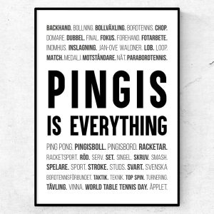 Pingis is everything