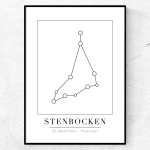 Stenbocken utan namn