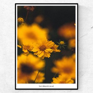 Sun is shining and so are you